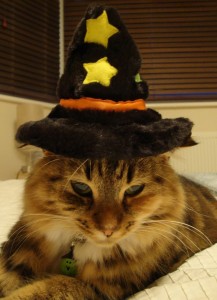 Cat in Halloween Costume