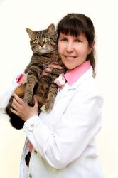 Dr. Hélène Bouchard Veterinarian of Summeridge Animal Clinic in Thornhill Ontario Canada holding a cat