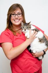 Veterinary Technician of Summeridge Animal Clinic in Vaughan, Ontario, Canada holding a cat